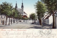 NÖ: Gruß aus Maria Lanzendorf um 1900 Strassenansicht,